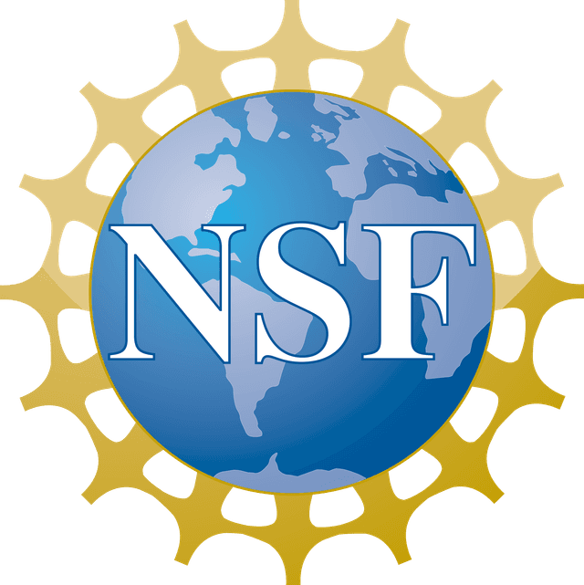 NSF Logo