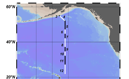 A thumbnail of the file image